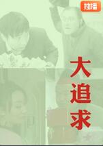 大追求