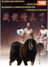 藏獒情未了