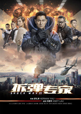 拆弹专家 国语