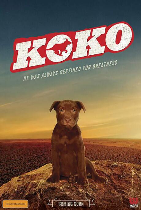 Koko：红犬历险记