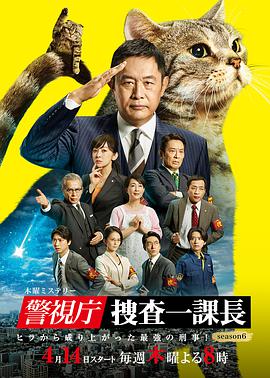 警视厅搜查一课长 第六季