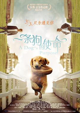 一条狗的使命 国语