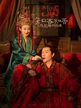 知否知否应是绿肥红瘦 DVD版