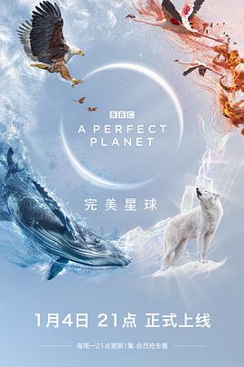 完美星球 国语