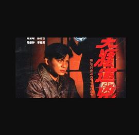 天涯追凶 国语
