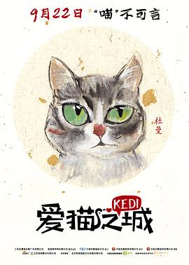 爱猫之城 英语