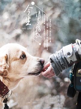 今生请多指教 第三季