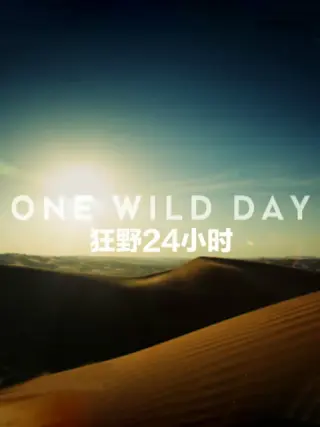 野性24小时 第一季