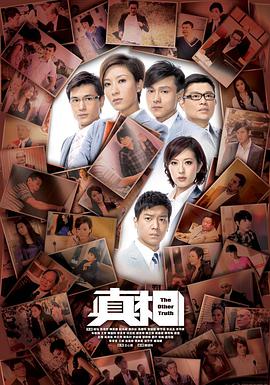 真相2011 国语
