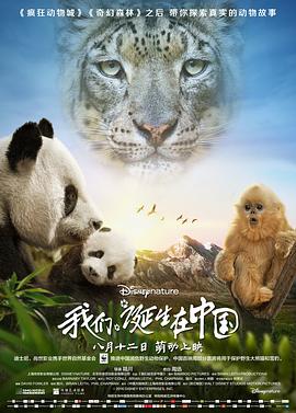 我们诞生在中国 英语