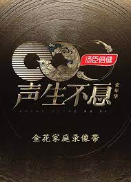 声生不息家年华 金花家庭录像带