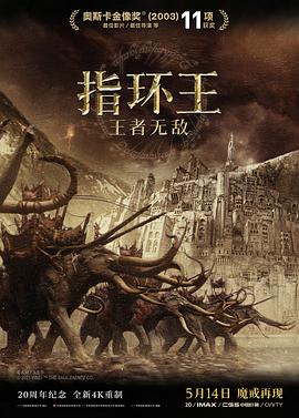 指环王3：王者无敌 国语