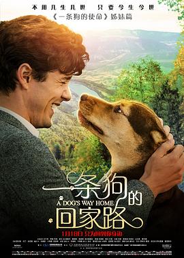 一条狗的回家路 国语