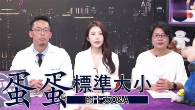 蛋蛋十大QA标准大小.