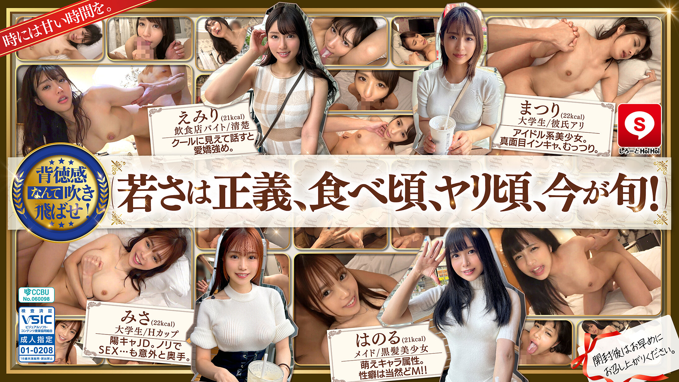 HOIZ162 可爱HOI HOI #14：素人交友软件激情配对，情人旅馆一夜情偷拍实况