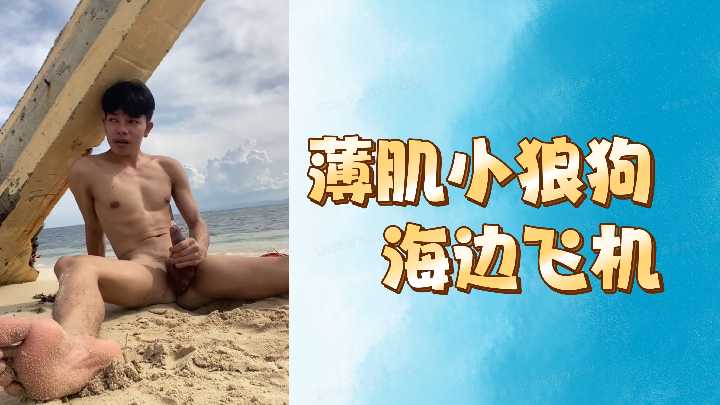 薄肌小狼狗海边飞机