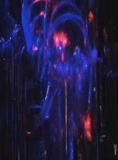 王动2019年2月极品女模全裸私拍174P 17V（含完整版），撩人姿态一次看够！