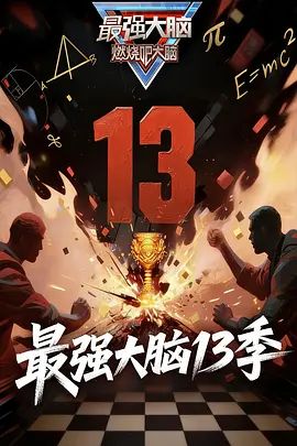 最强大脑 第一十三季