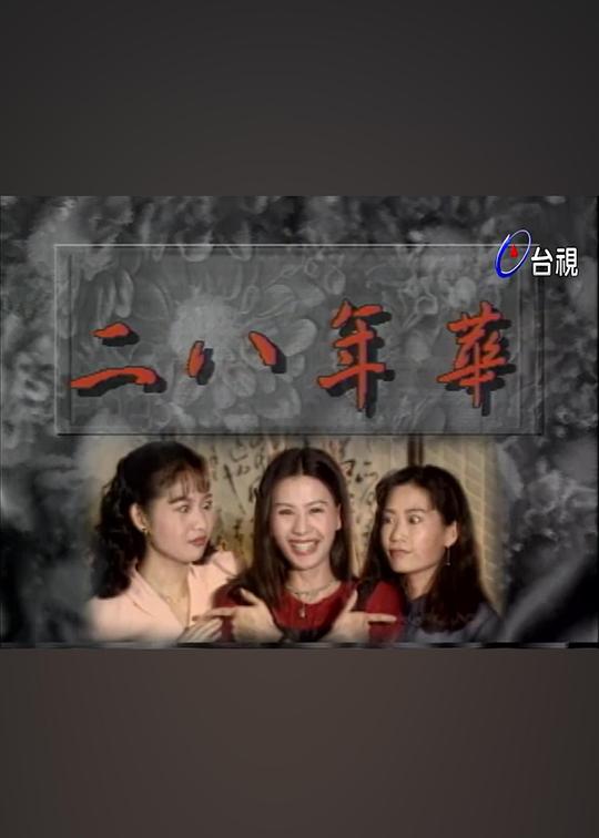 二八年华