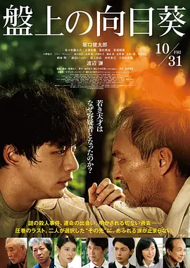 棋盘上的向日葵 电影版