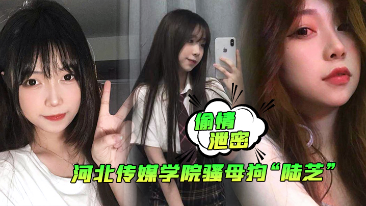 河北传媒学院骚母狗陆芝背男友偷情 双龙入洞前后夹击爆操