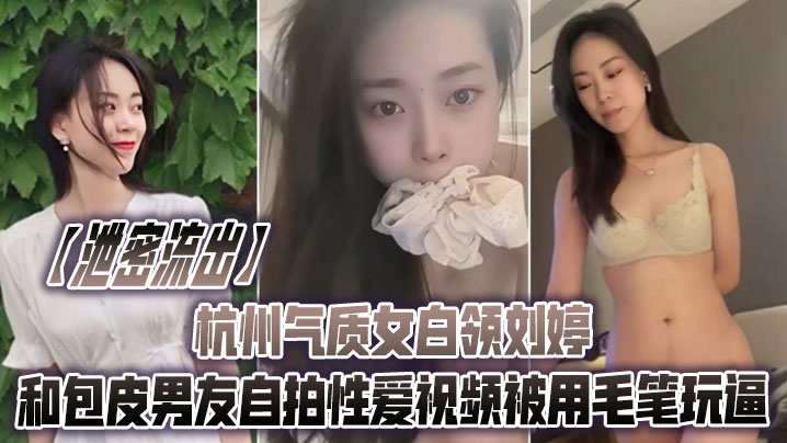 杭州气质女白领刘婷被男友用毛笔狂插骚穴自拍流出