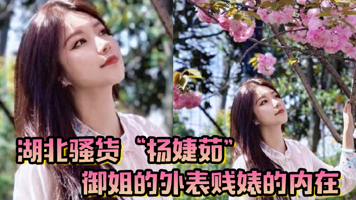 湖北骚货杨婕茹御姐的外表贱婊的内在到处玩弄男人感.情脚踏好几条船