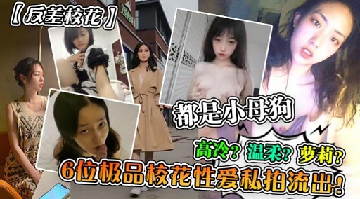 [无码流出] 反差校花沦陷记 温柔萝莉变淫荡母狗 6位极品嫩穴私拍狂干